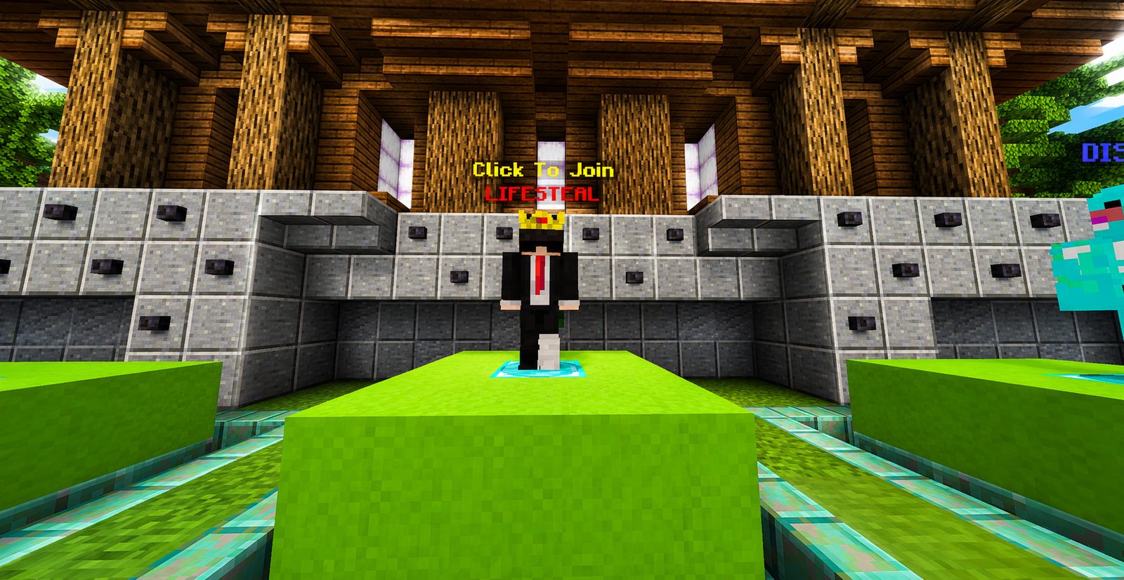 Lifesteal join NPC at AmitVerse SMP